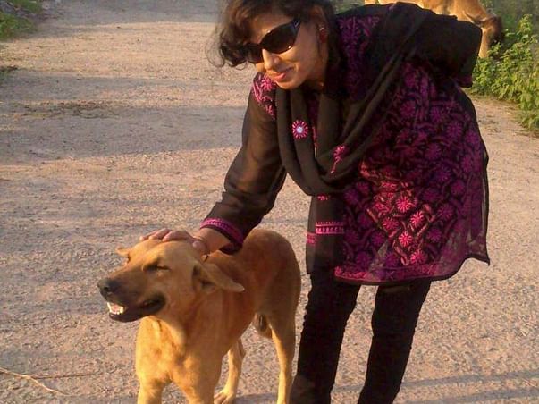 Help Meelan Keep Up Feeding And Caring My 50-70 Stray Dogs