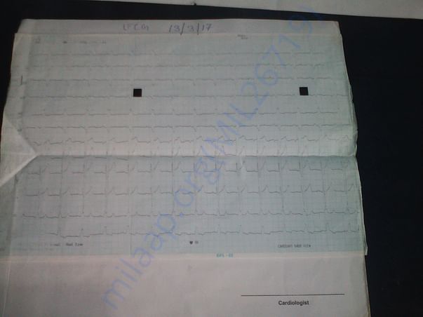 HEART DOC2