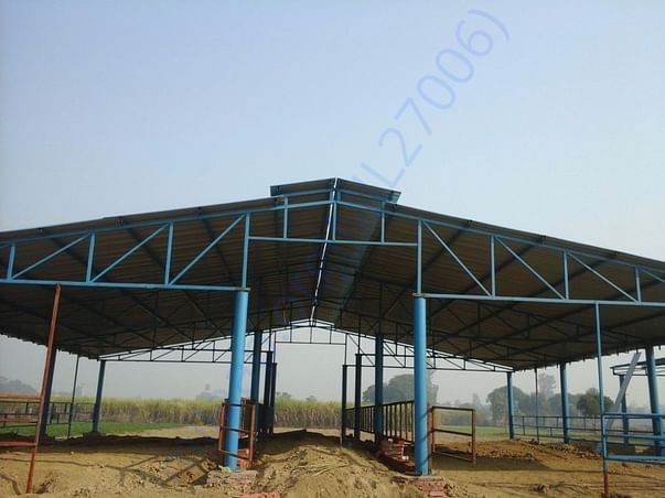 Shed for cows