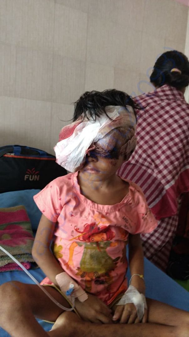 Dhanika's latest(16.12.2017, 12.30 PM) picture