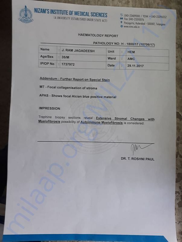 Haematology Report 2