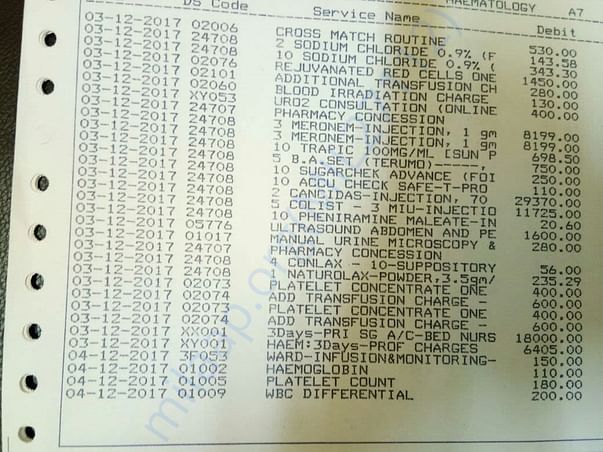 Expense Report 5