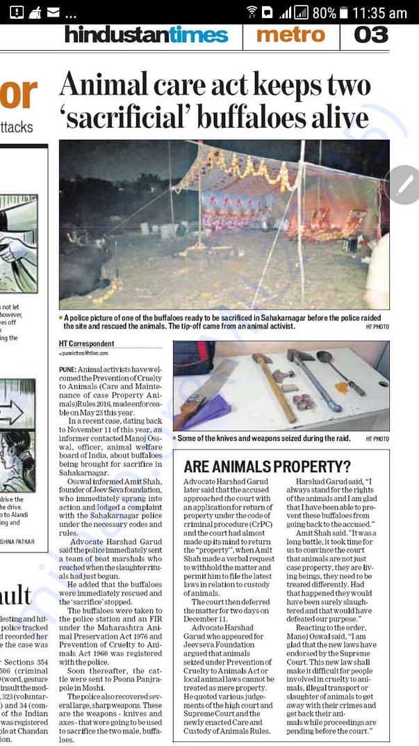 Newspaper clippings