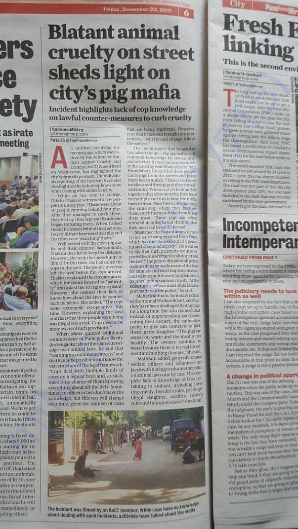 Newspaper clippings