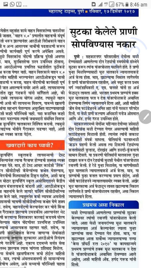 Newspaper clippings