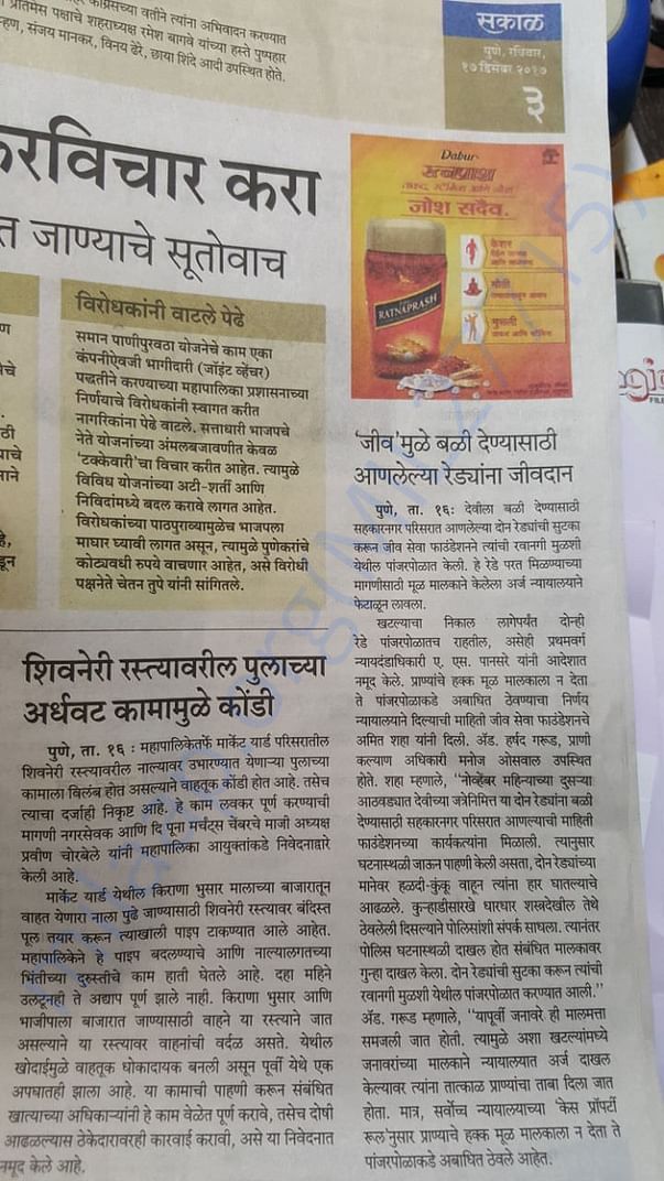 Newspaper clippings