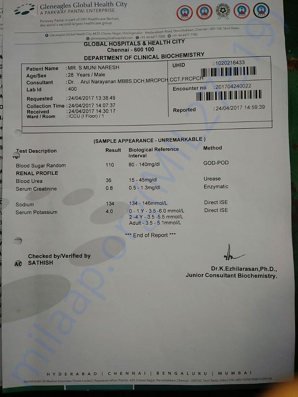 Medical Report 8