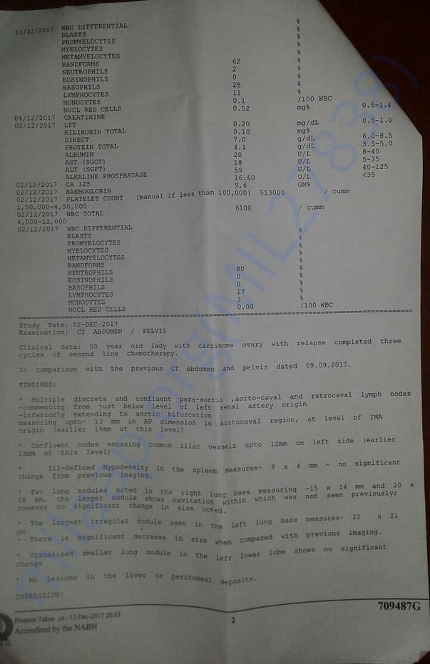 Test report