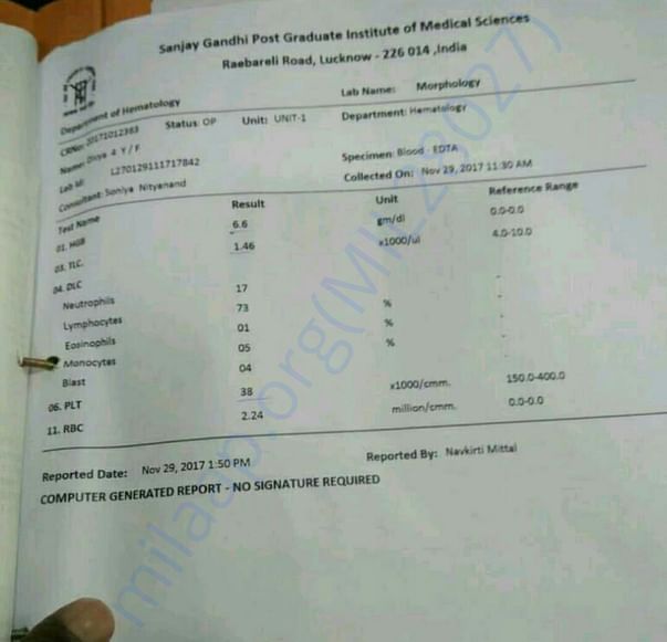 Blood Report