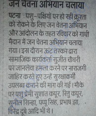 Newspaper Clip (1)