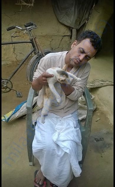 Love Animals