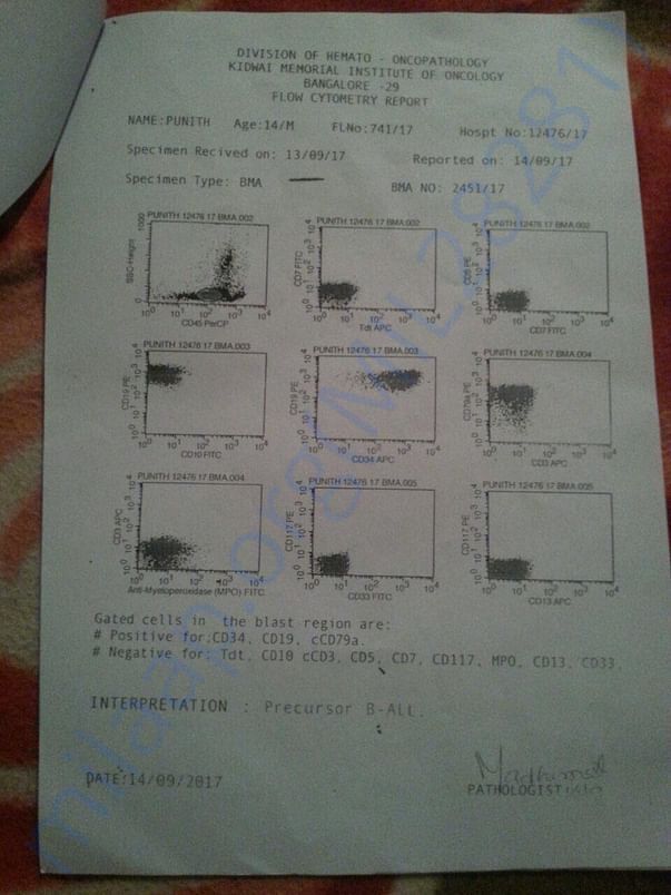Scan of the blasts visible