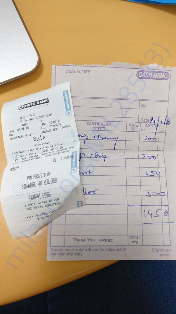 Vet bills for Sparky and Cookie