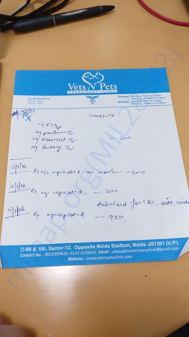 Daily Vet bill for Sparky's dressing