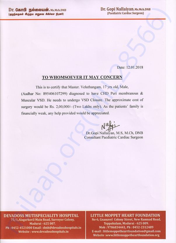 Estimation Letter