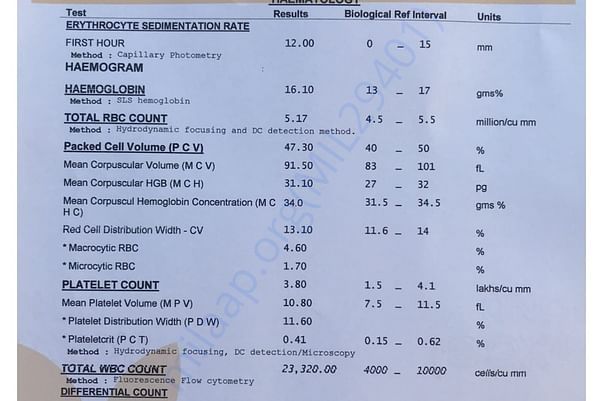 Medical report