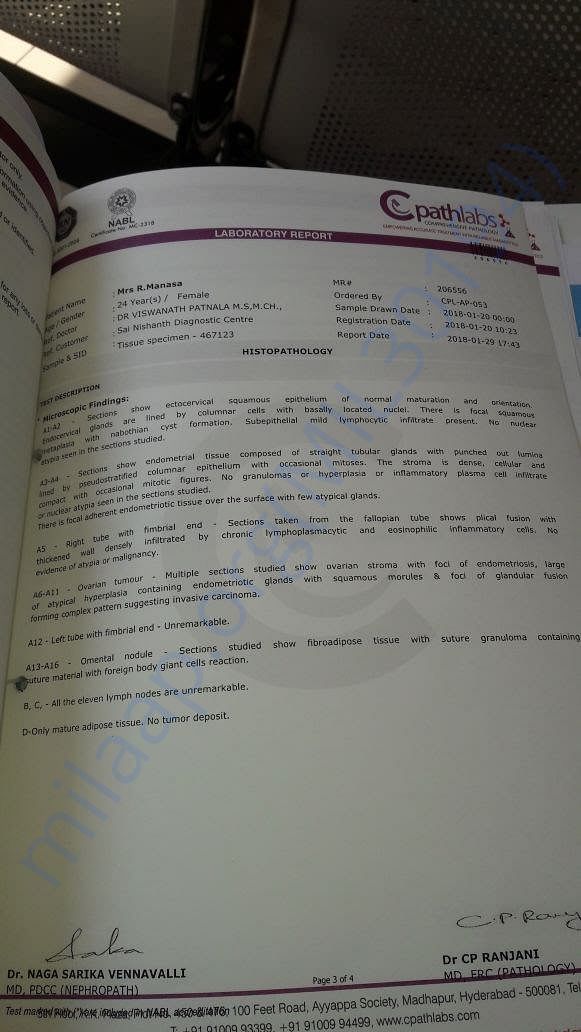 Report