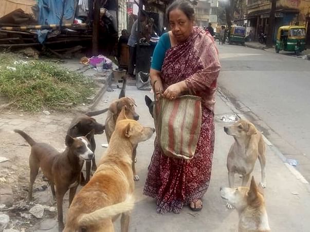 Help Me In Feeding, Treatment & Welfare Of More Than 150 Stray Dogs