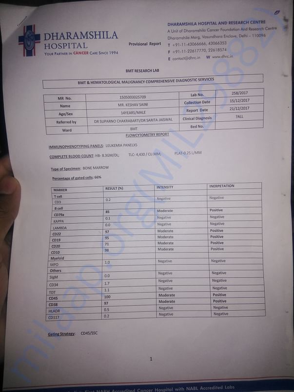 Report of bone marrow test.
