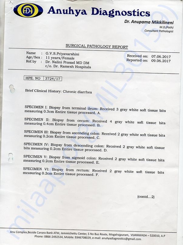 Pathology Report