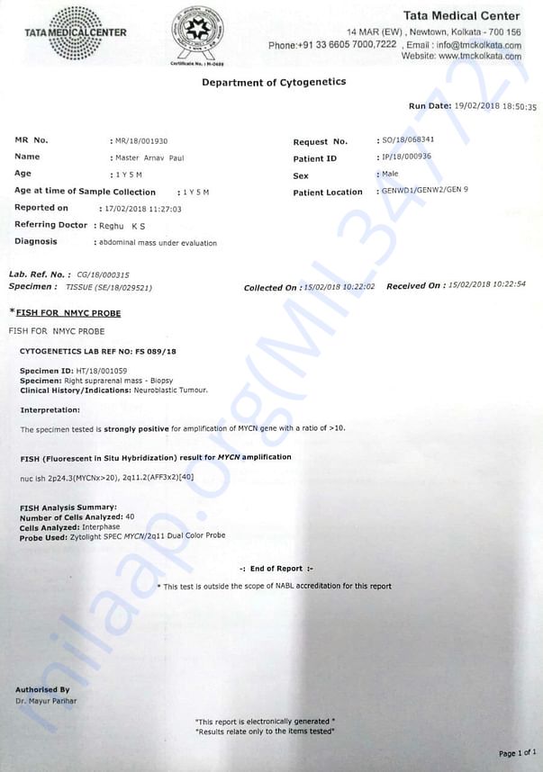 N-MYC Test Report