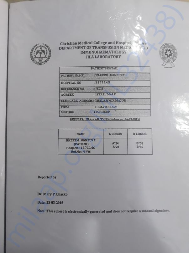 This is THALASSEMIA MAJOR REPORT