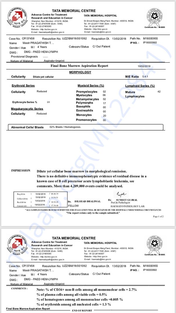 Bone marrow reports