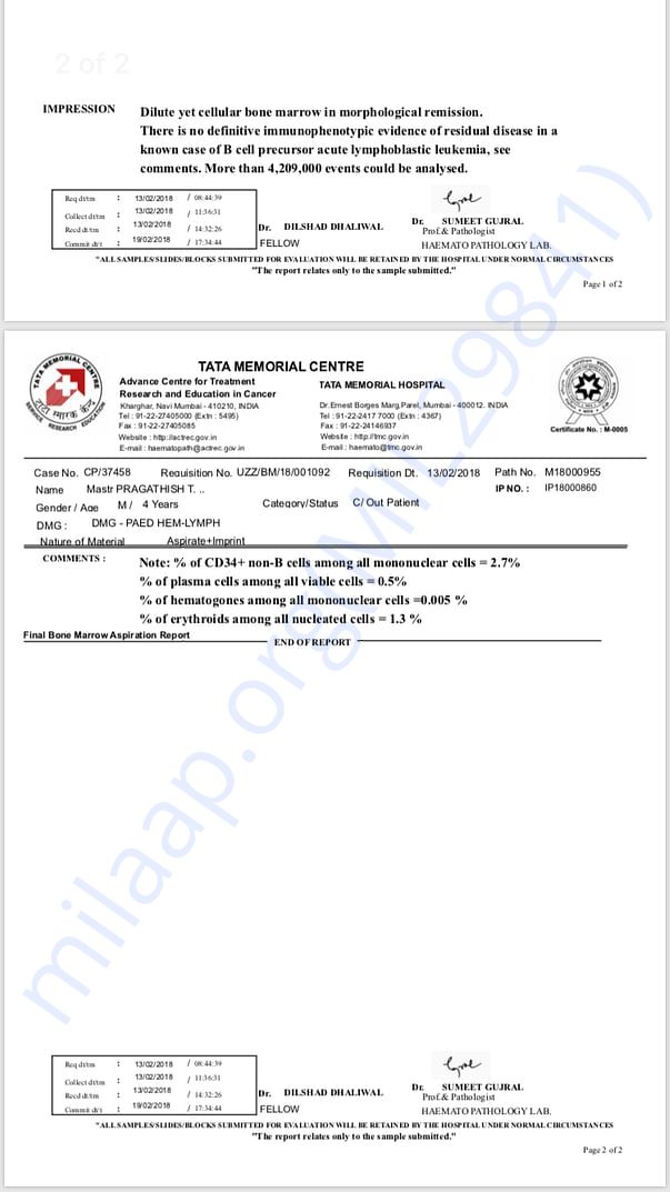 Bone marrow reports