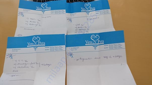 Prescriptions for one dog with tick fever, another with leg injury