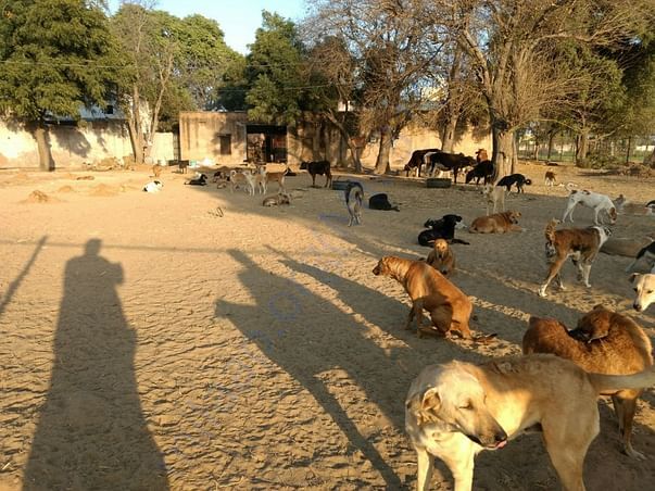 This is where we run around and have fun