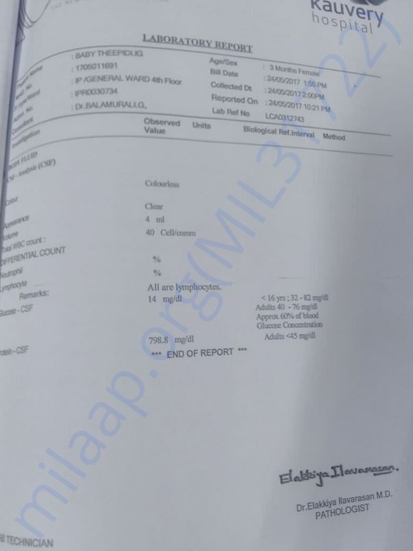 lab report