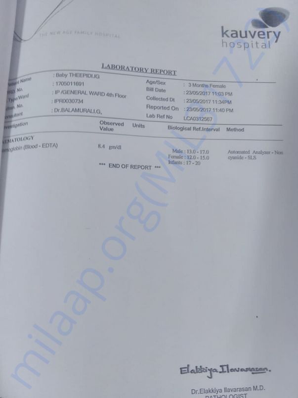 lab reports
