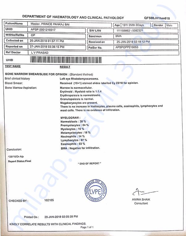 Bone marrow results