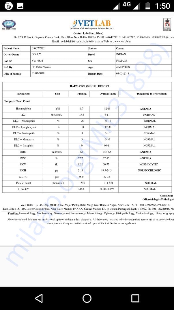 Blood report