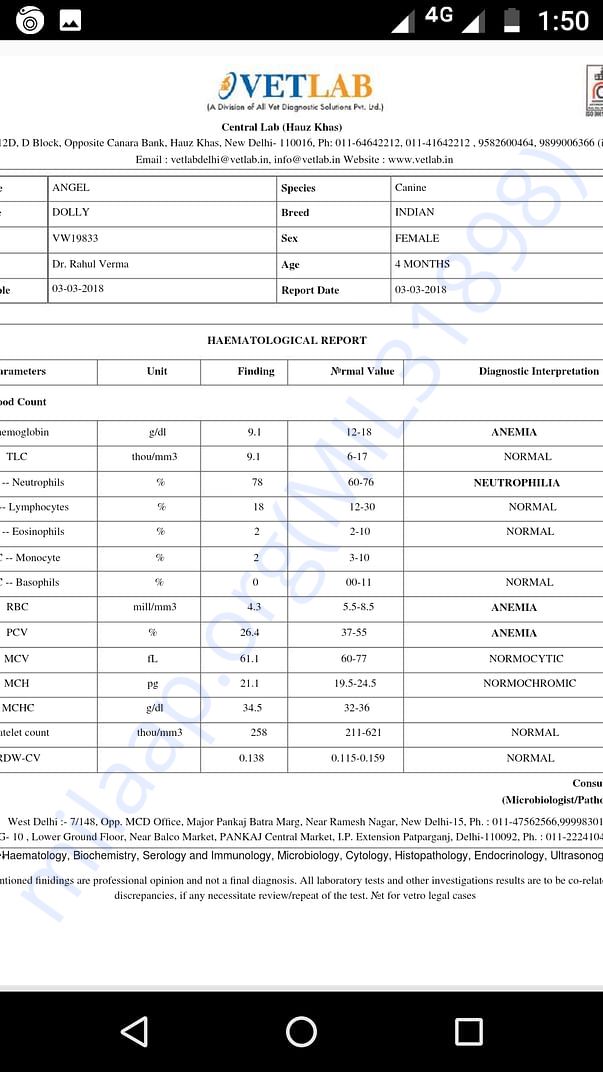 Blood report 2