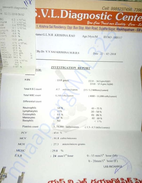 Investigation report