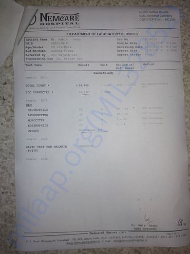 Medical report(s)