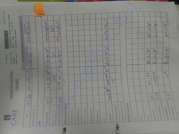 Doctor reports