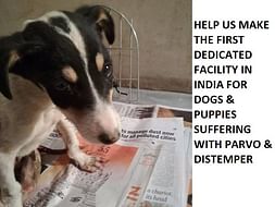 Help Us Make India's First Canine Viral Diseases Treatment Center