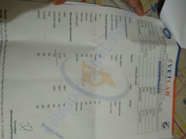 Urine routine report