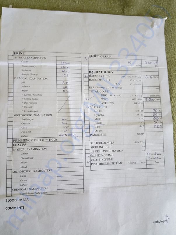 Test report