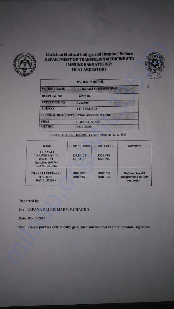 Immunology report