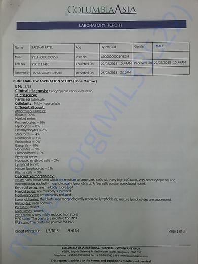 Bone marrow test pg1