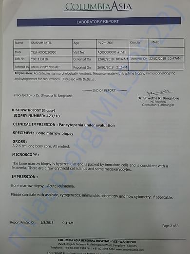 Bone marrow test pg2