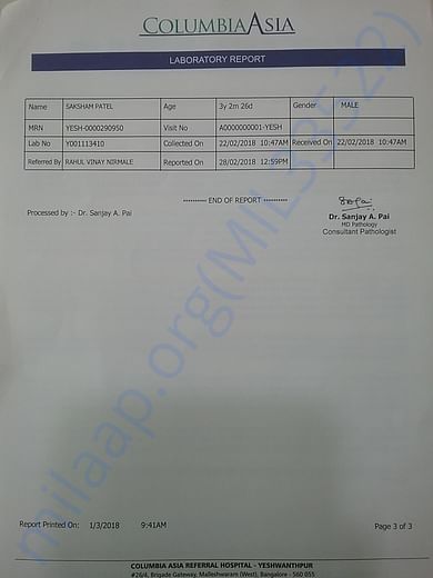 Bonews marrow test pg3
