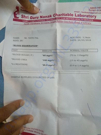 Renal function report