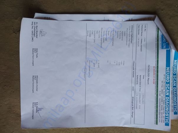 Test Report7