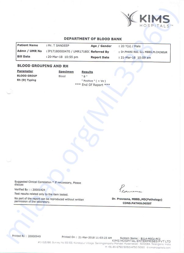 kims-reports9