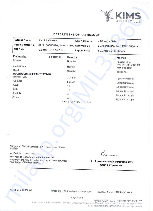 kims-reports8