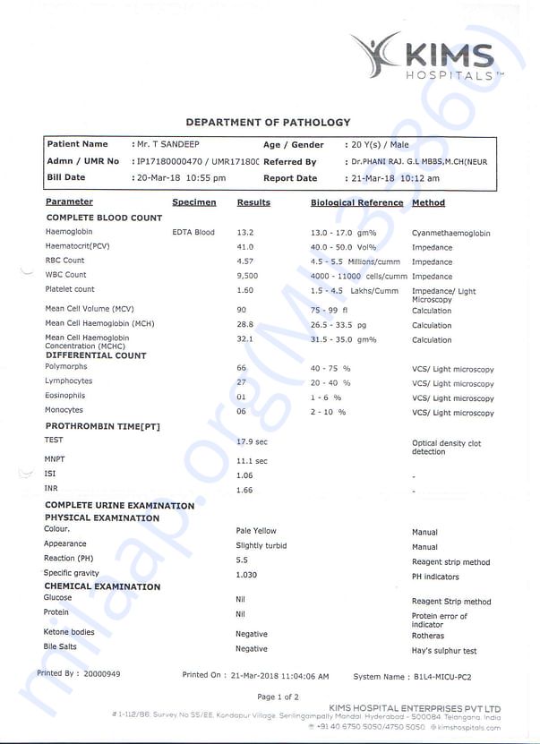 kims-reports7